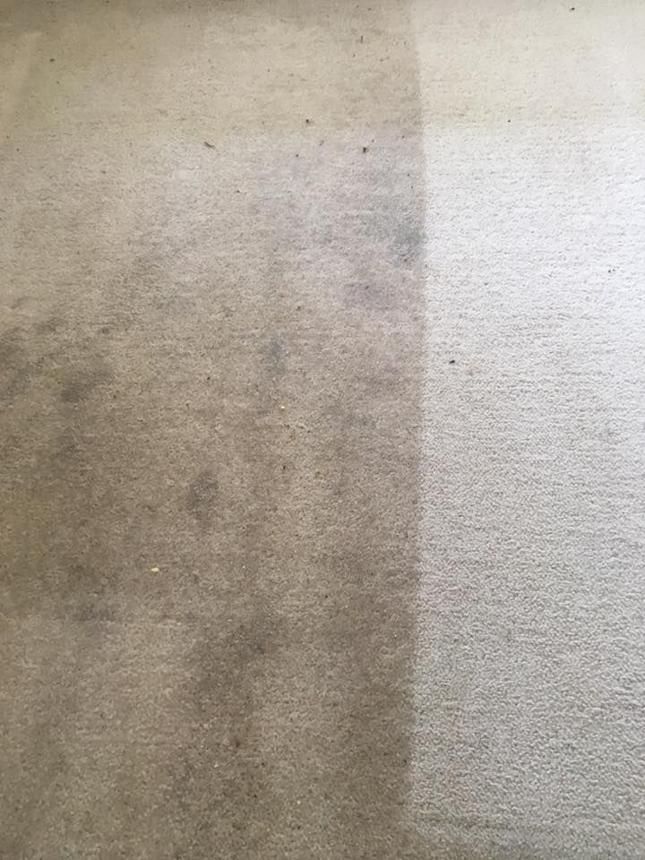 Quality Carpet Cleaning in Dubbo Gower Carpet Cleaning