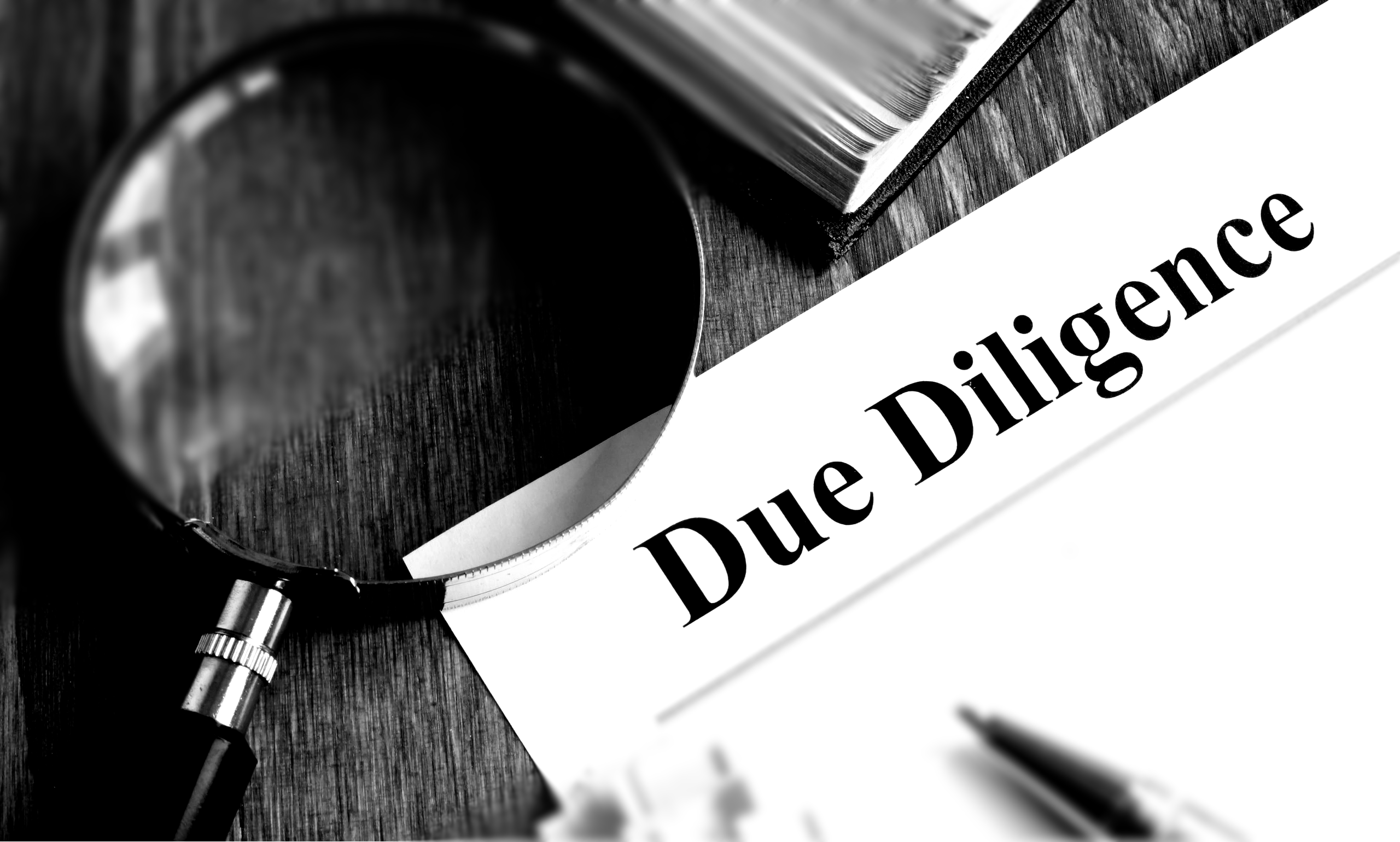 Due Diligence Support