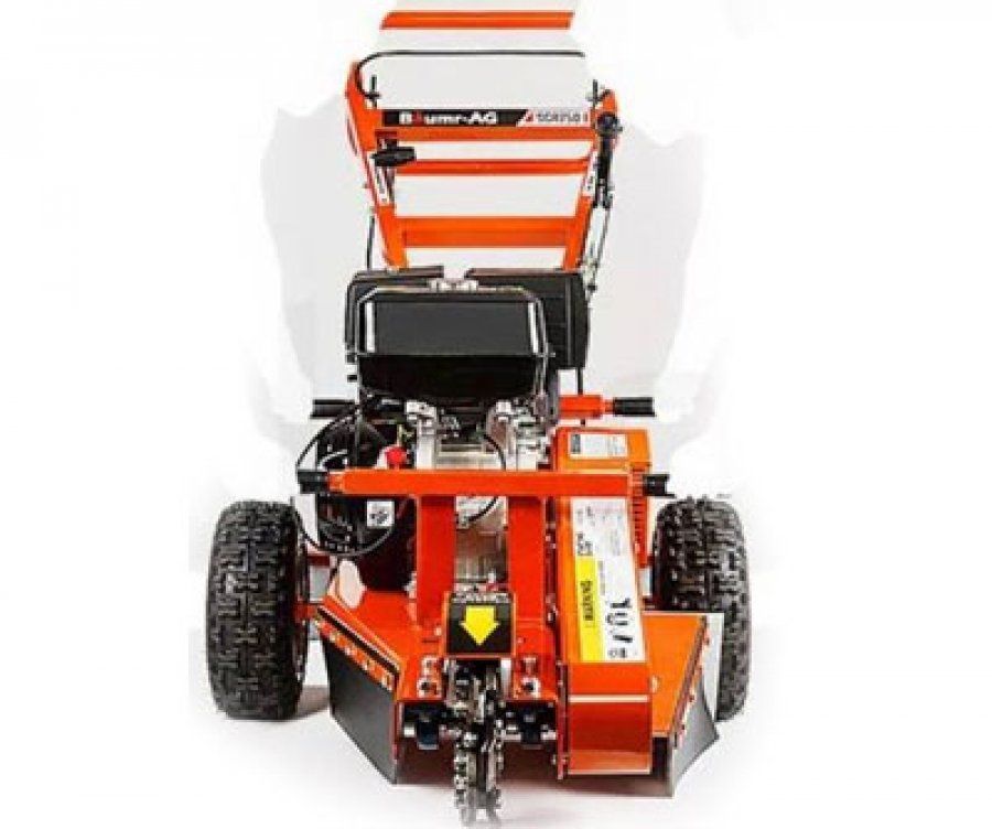 Cheap Stump Grinding Morayfield