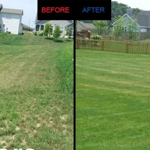 Turf Laying and Soil Preparation Morayfield
