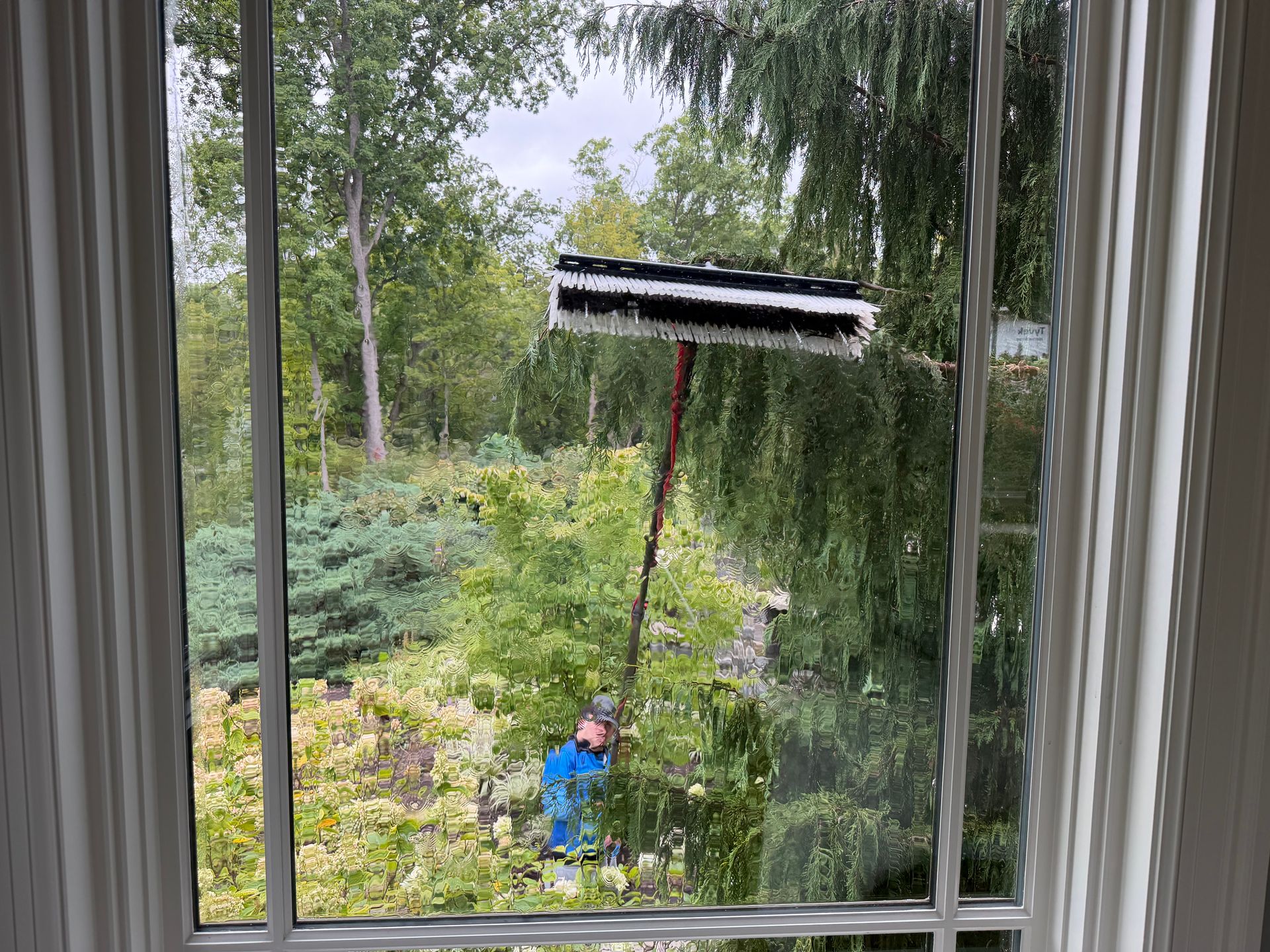 Person cleaning an exterior window with a long-handled squeegee in a green garden view
