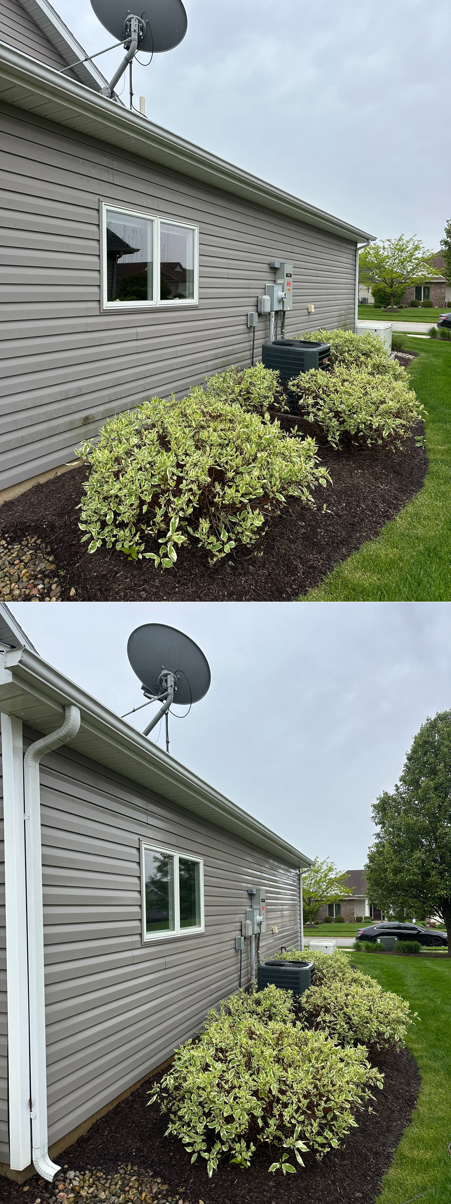 Side of brick house with white trim, satellite dish, downspout, and a trimmed green shrub by the wall.