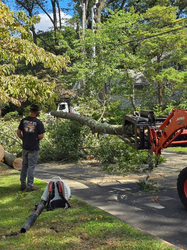 Chainsaw cutting a tree trunk. The saw is red and white, and the tree is brown.