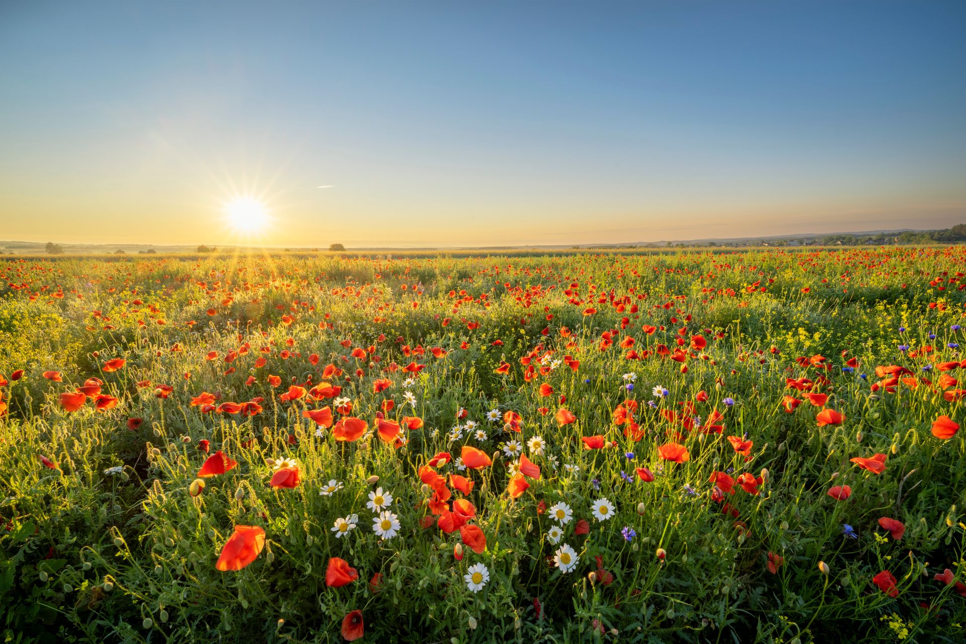Waterbury Funeral Service | Sioux City, IA
