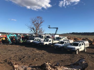Tree Work Photo Gallery | Central West NSW | OS Trees