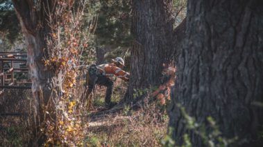 Tree Work Photo Gallery | Central West NSW | OS Trees