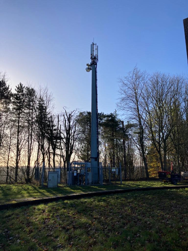 Tree care around Telephone masts