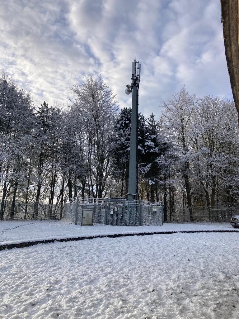 Tree maintenance Telecoms