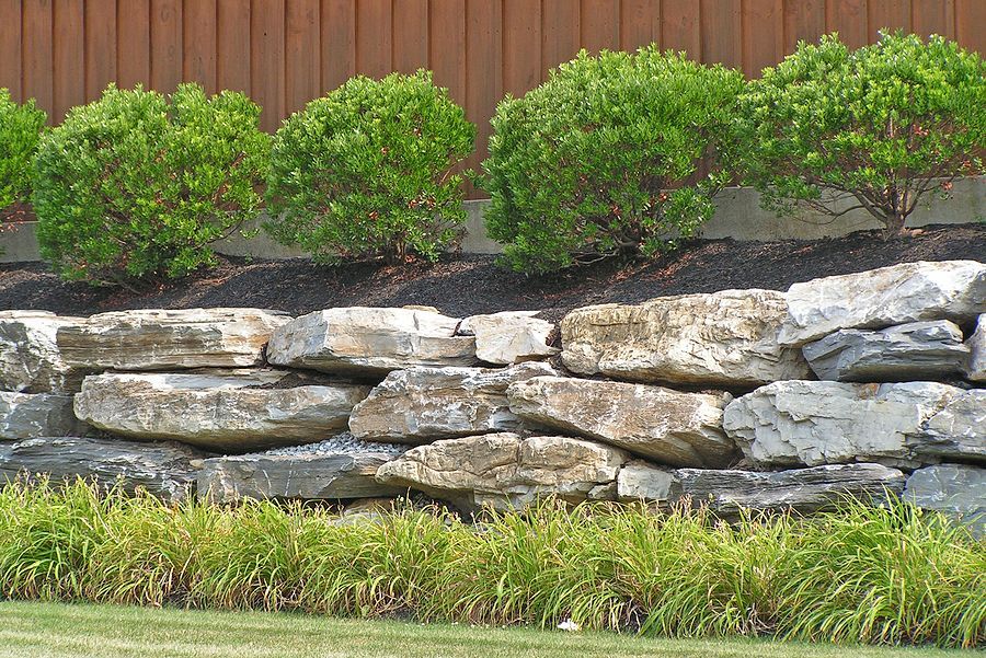 a stone wall with a row of trees in the background