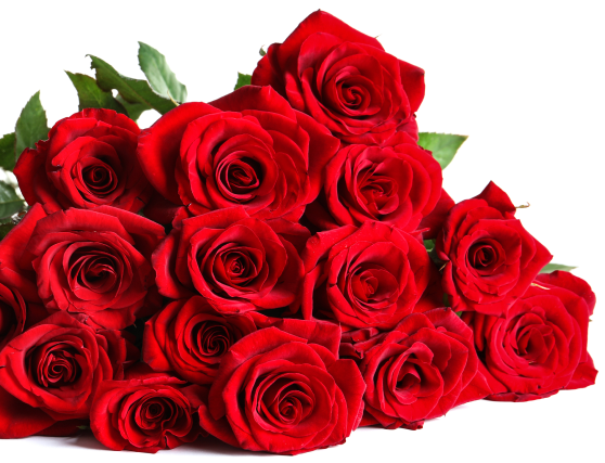 Red Flower