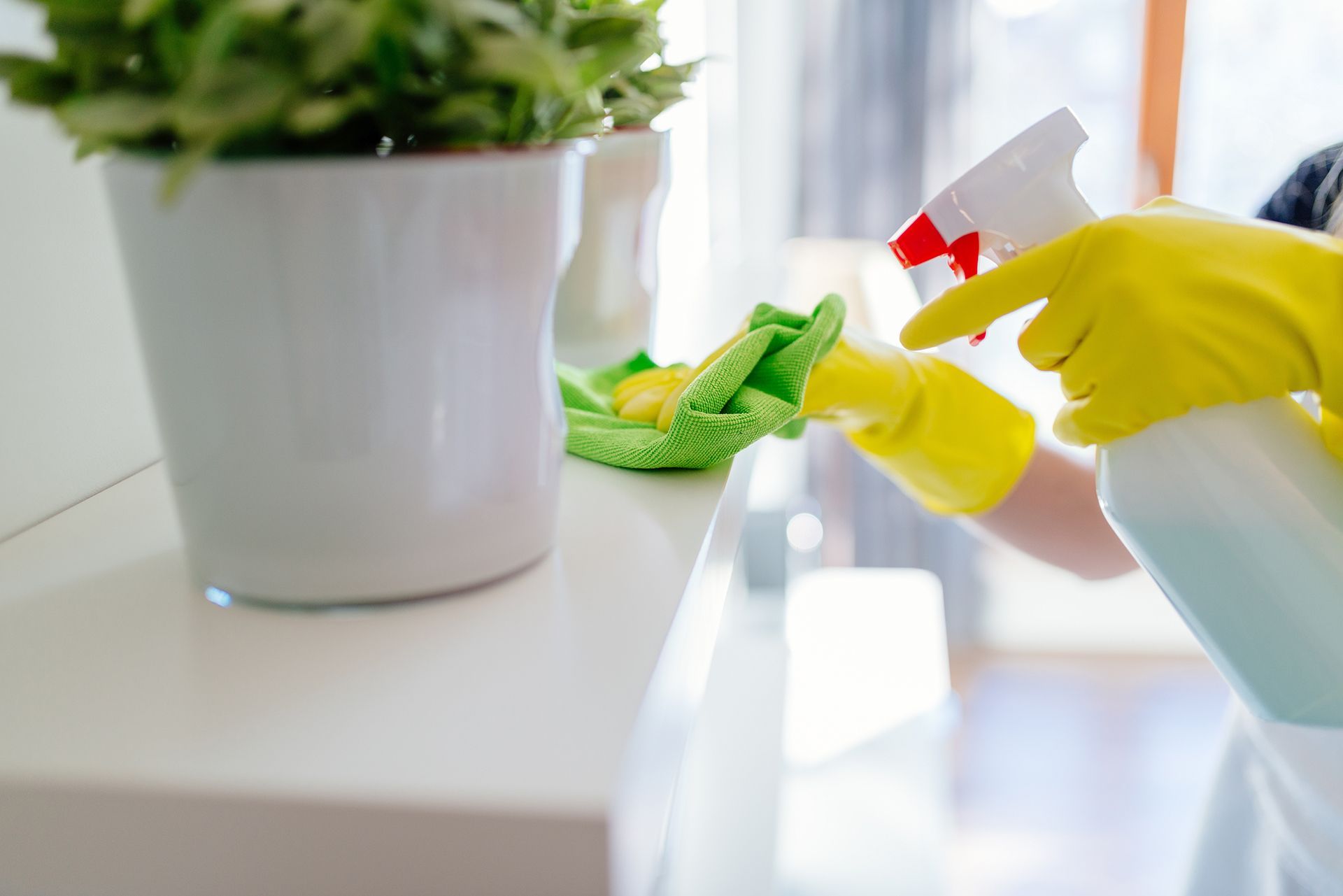 Spraying Disinfectant