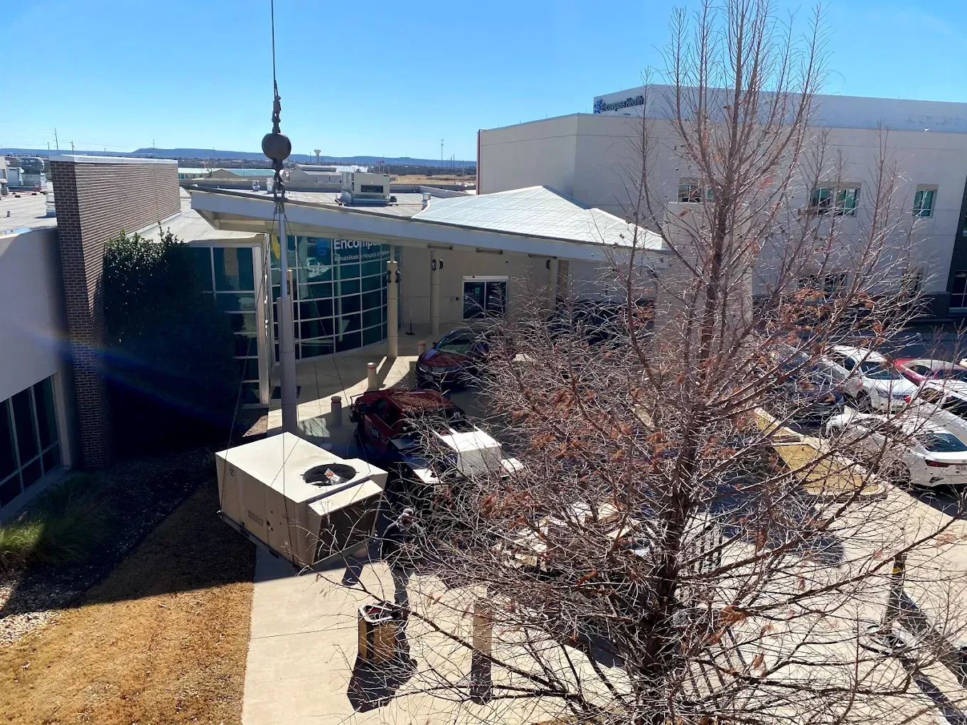 Outdoor courtyard with a leafless tree, modern building, and patio umbrellas in bright sunlight