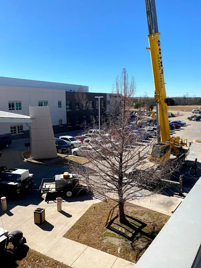 Construction crane beside office building and parking lot, with tree and clear blue sky