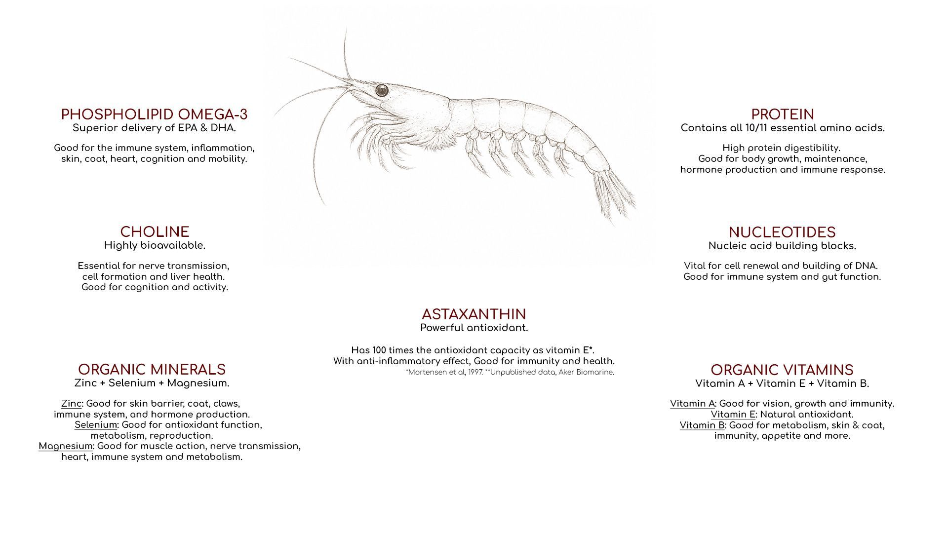 Infographic of a mosquito anatomy diagram with labeled body parts and sections on the sides