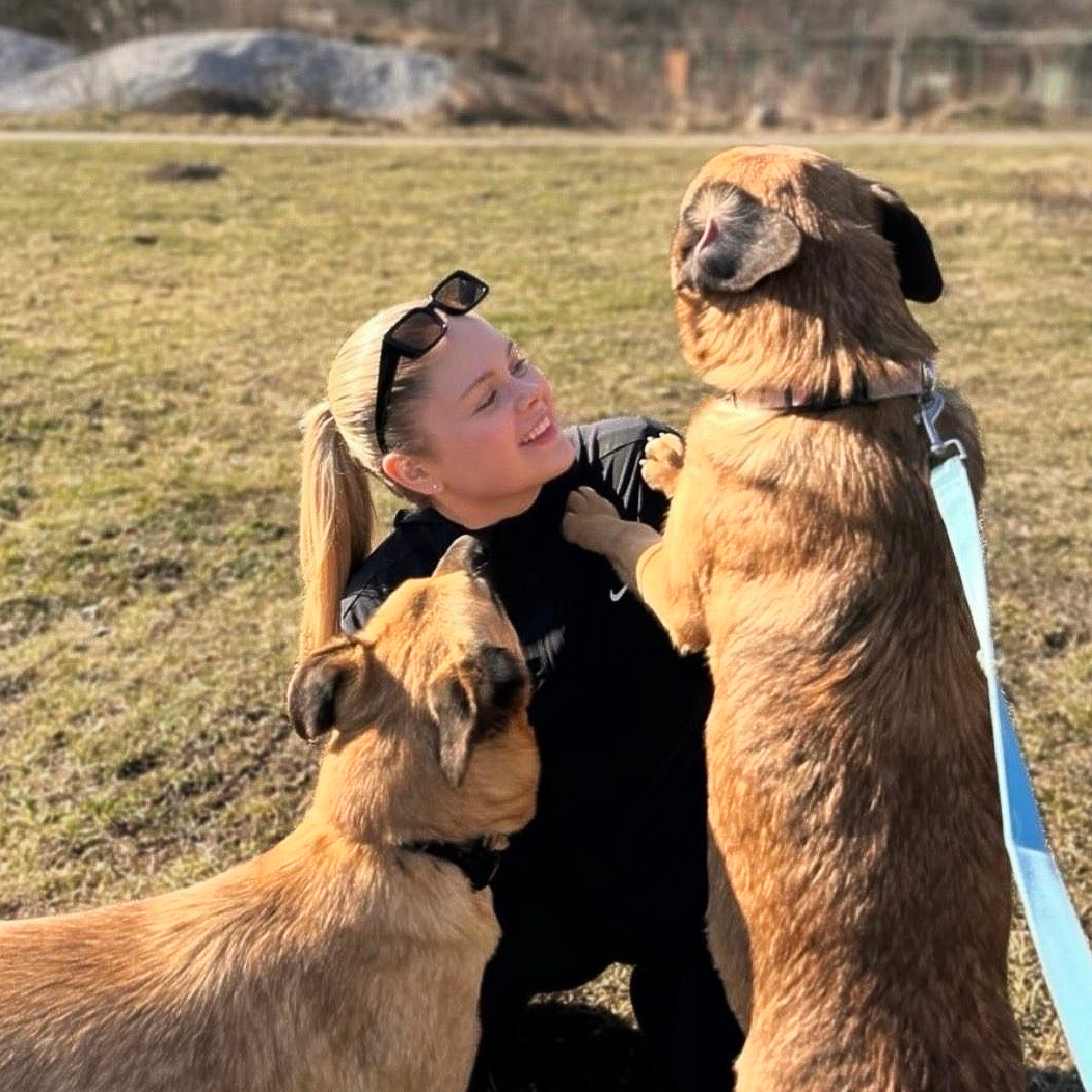 Woman kneeling outdoors as two tan dogs stand up to nuzzle her in a sunny field