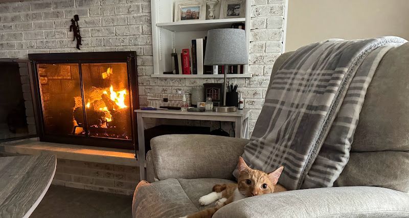 A cat is laying in a chair in front of a fireplace.