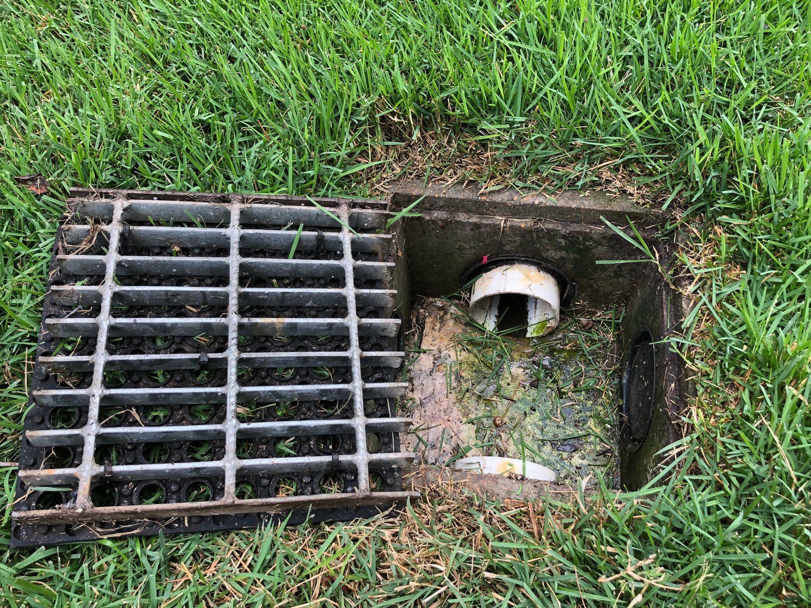 A drain cover is sitting on top of a lush green field.