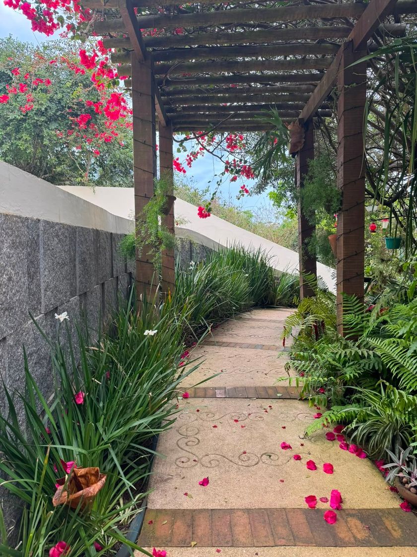 Caminho ajardinado sob uma pérgola de madeira, ladeado por vegetação e flores cor-de-rosa ao longo da trilha.