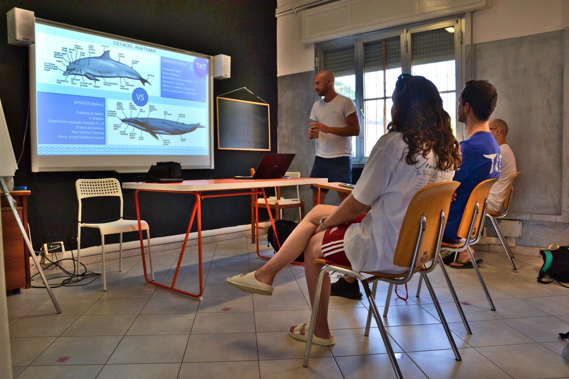 formazione biologia marina