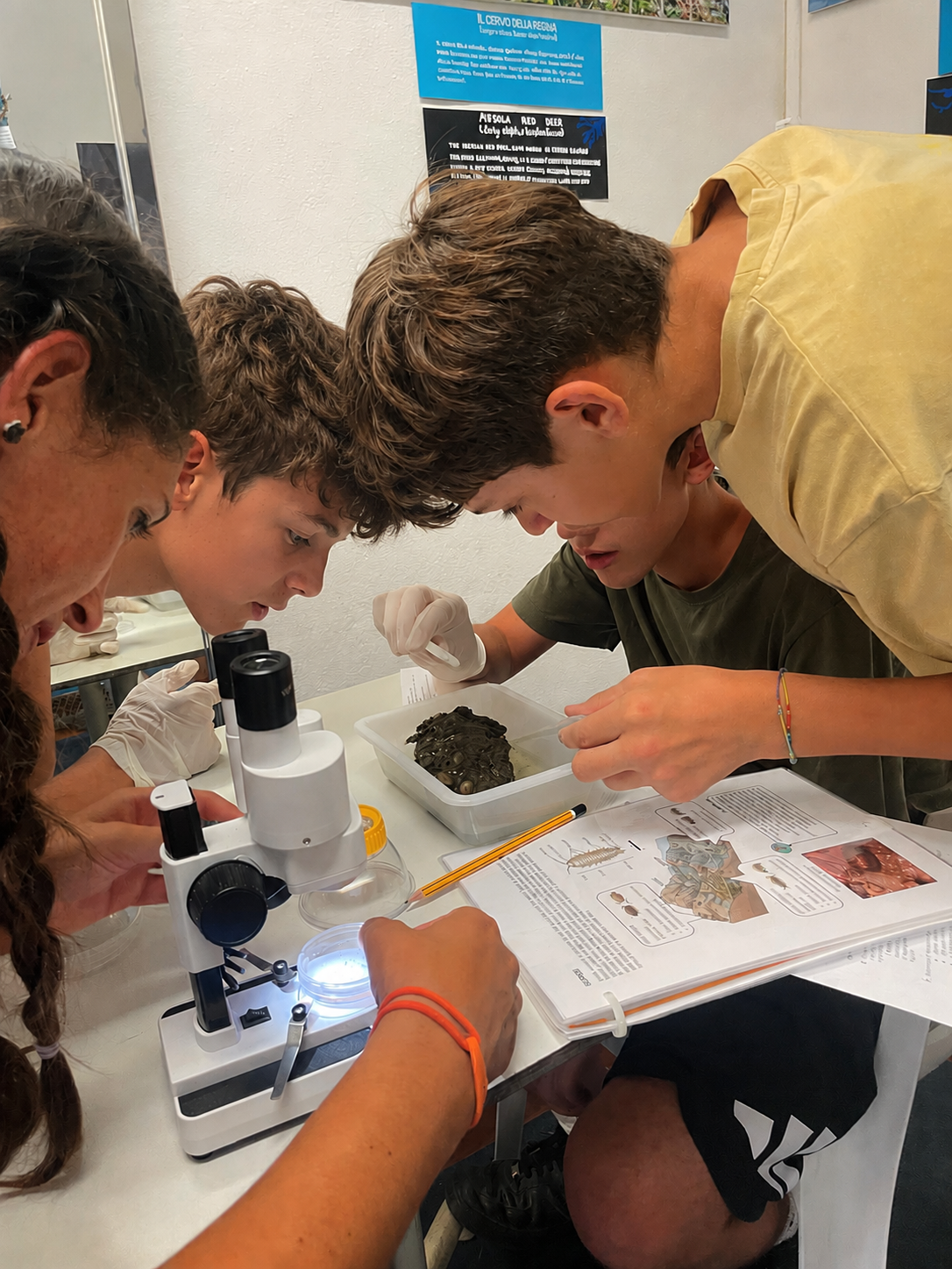 Due studenti usano un microscopio posto su un tavolo da laboratorio e stanno esaminando campioni e appunti durante un laboratorio scientifico di biologia marina