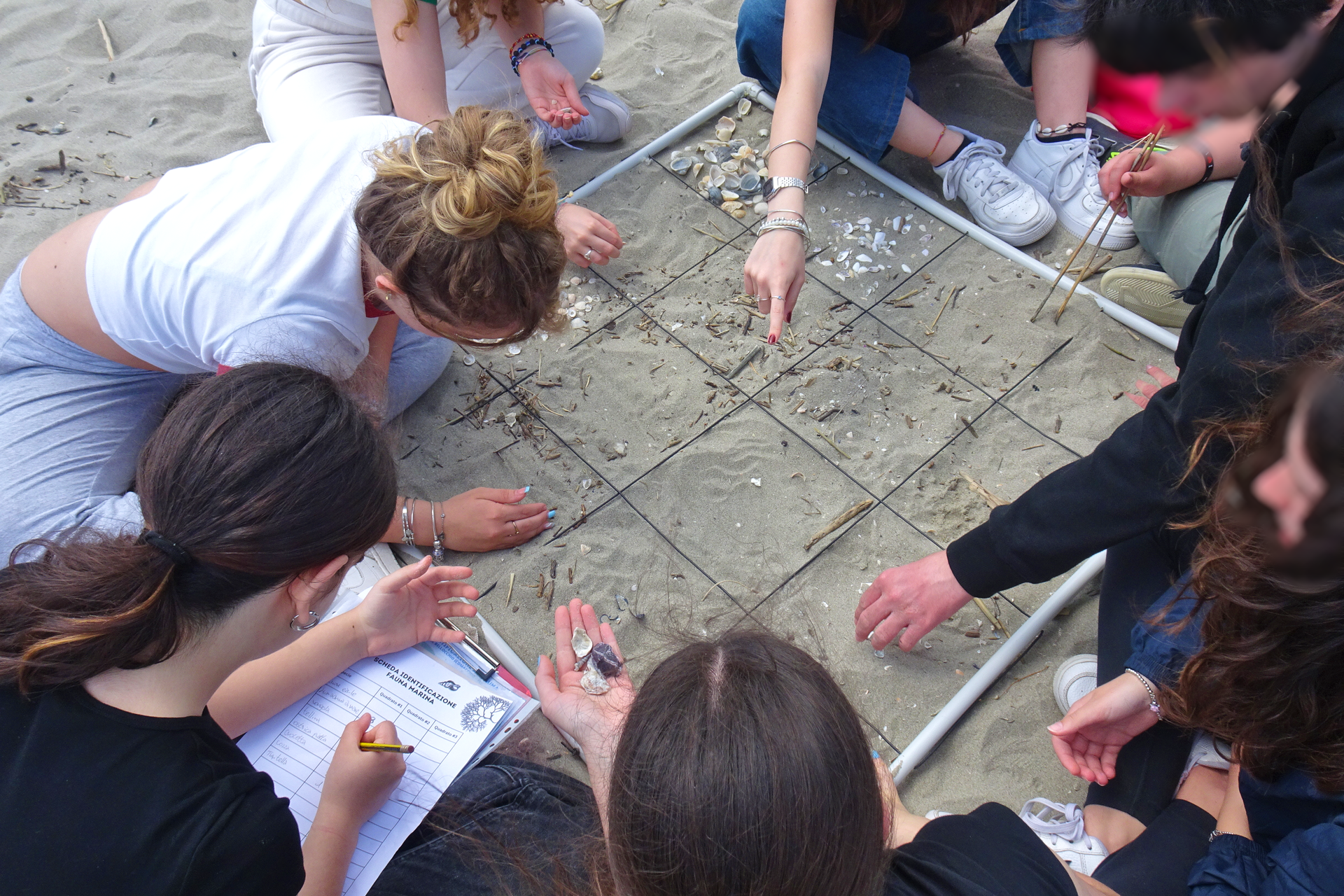 Studenti radunati attorno a un quadrato di campionamento sulla sabbia in spiaggia, allungando le mani per raccogliere conchiglie e censire la biodiversità dell'ambiente costiero emerso.