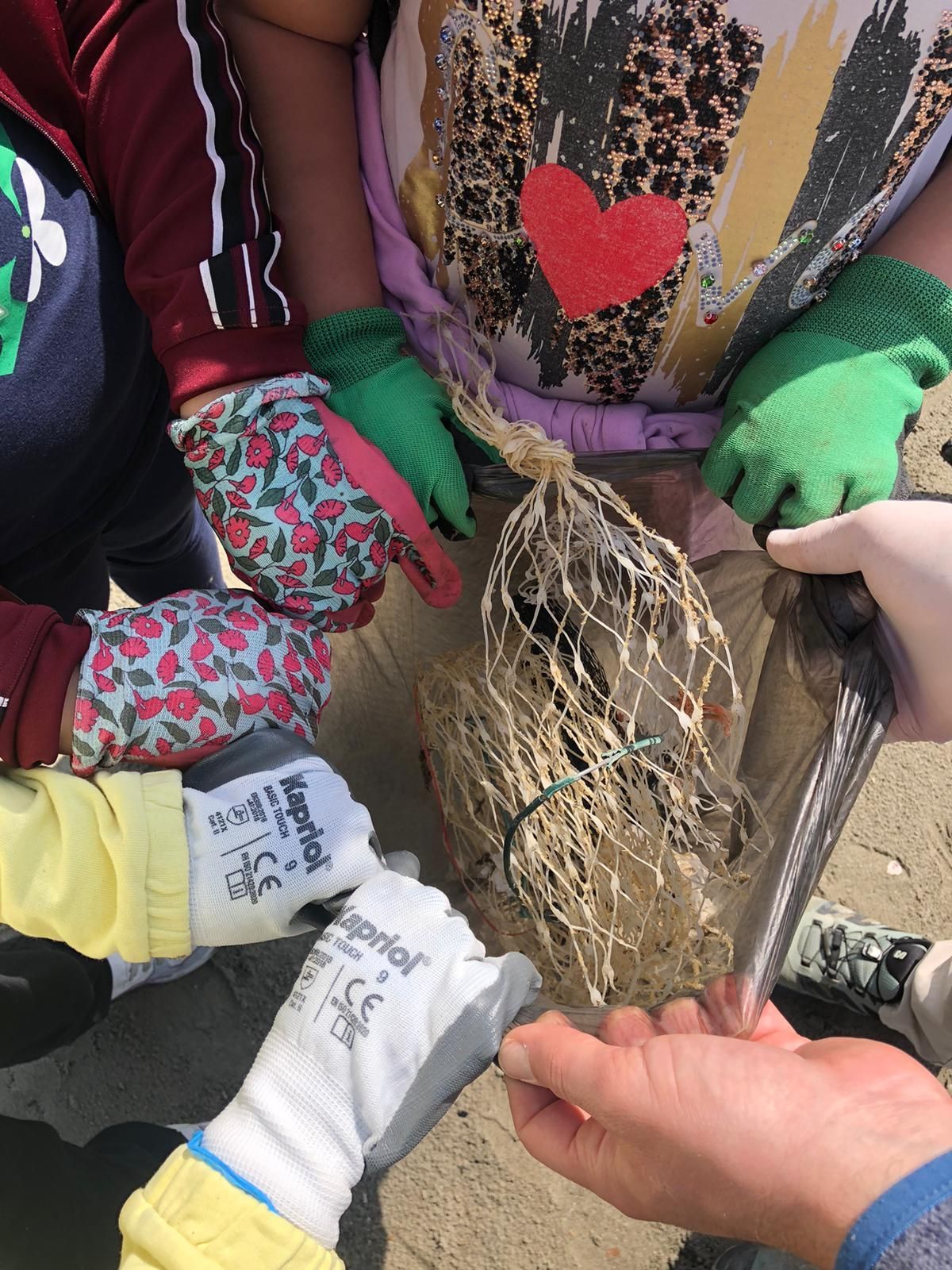 Mani che tengono un sacchetto dentro il quale c'è la plastica raccolta durante una pulizia della spiaggia