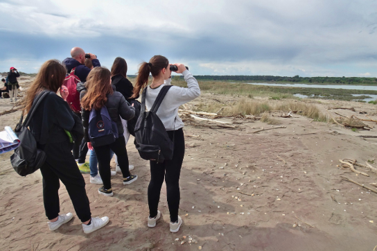 Studenti che osservano uccelli acquatici all'interno di una riserva naturale durante un laboratorio didattico outdoor
