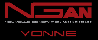 logo ngan