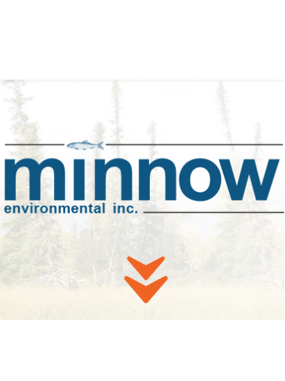 Minnow Environmental