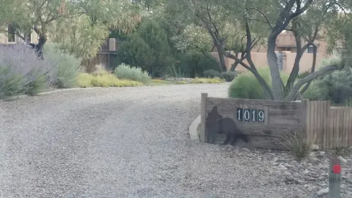 A gravel driveway with a wooden sign that says 1019 on it.