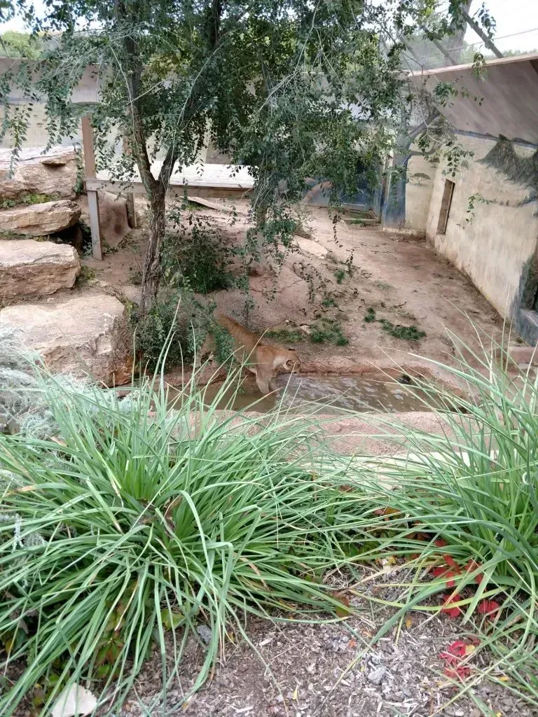A bunch of plants are growing in front of a building.