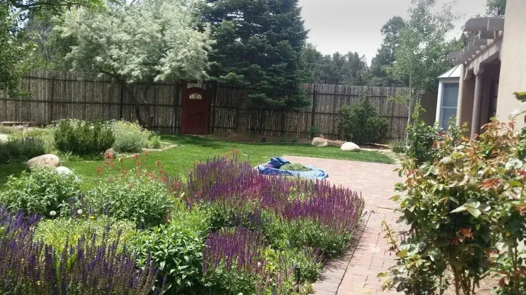 A garden with purple flowers and a fence in the background