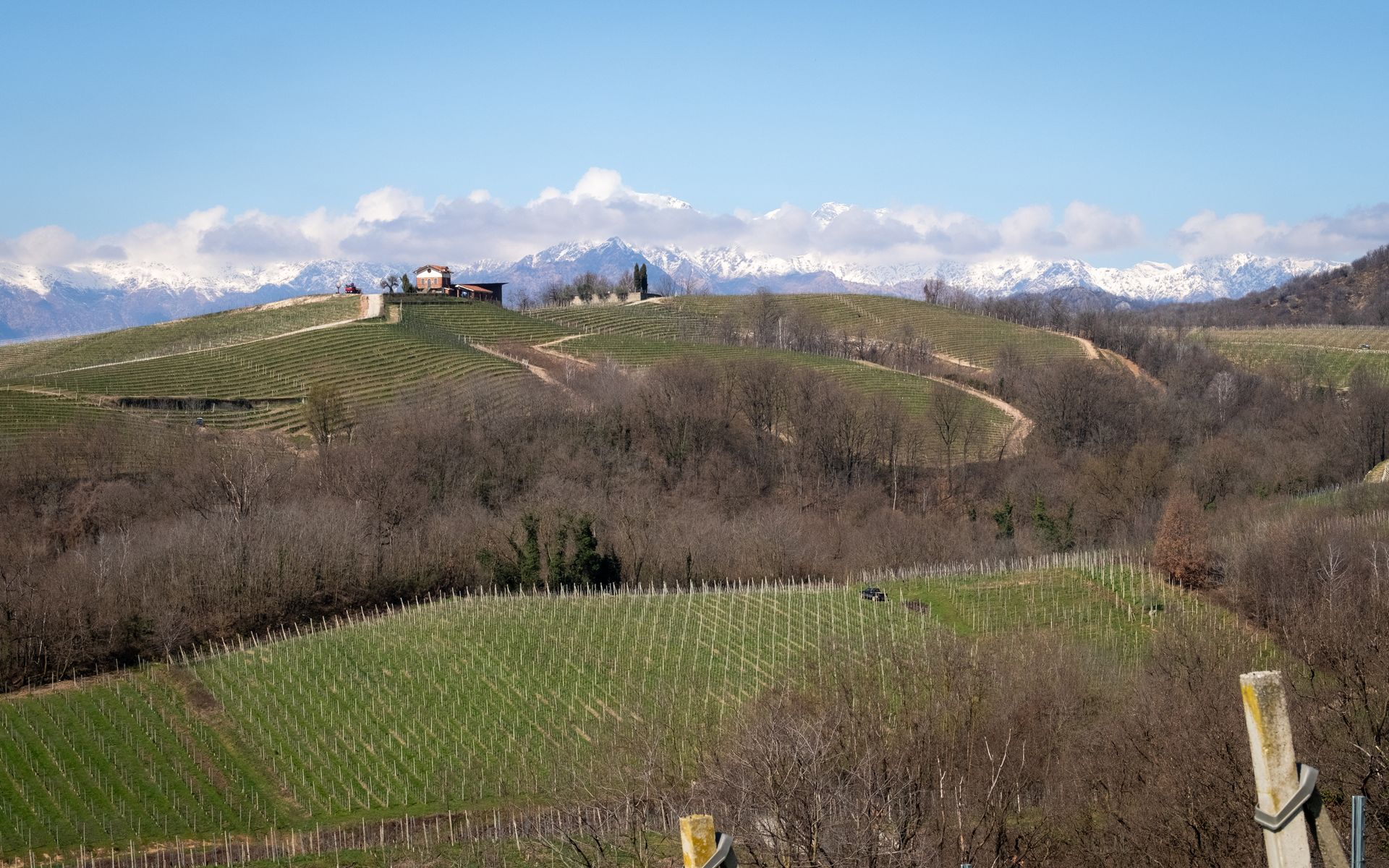 Terroir