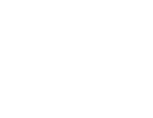 White Logo of Donigan Construction