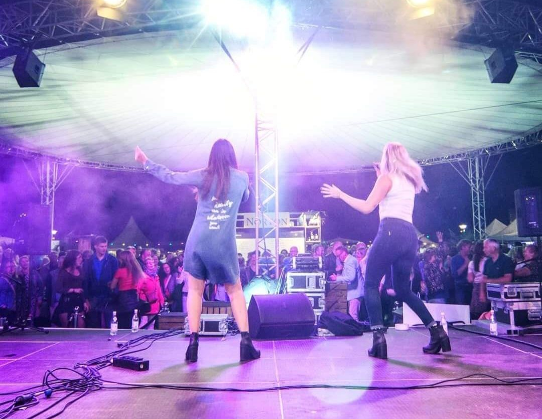 Twee artiesten op een verlicht openluchtpodium, van achteren gezien met een paarse waas en een publiek ervoor.