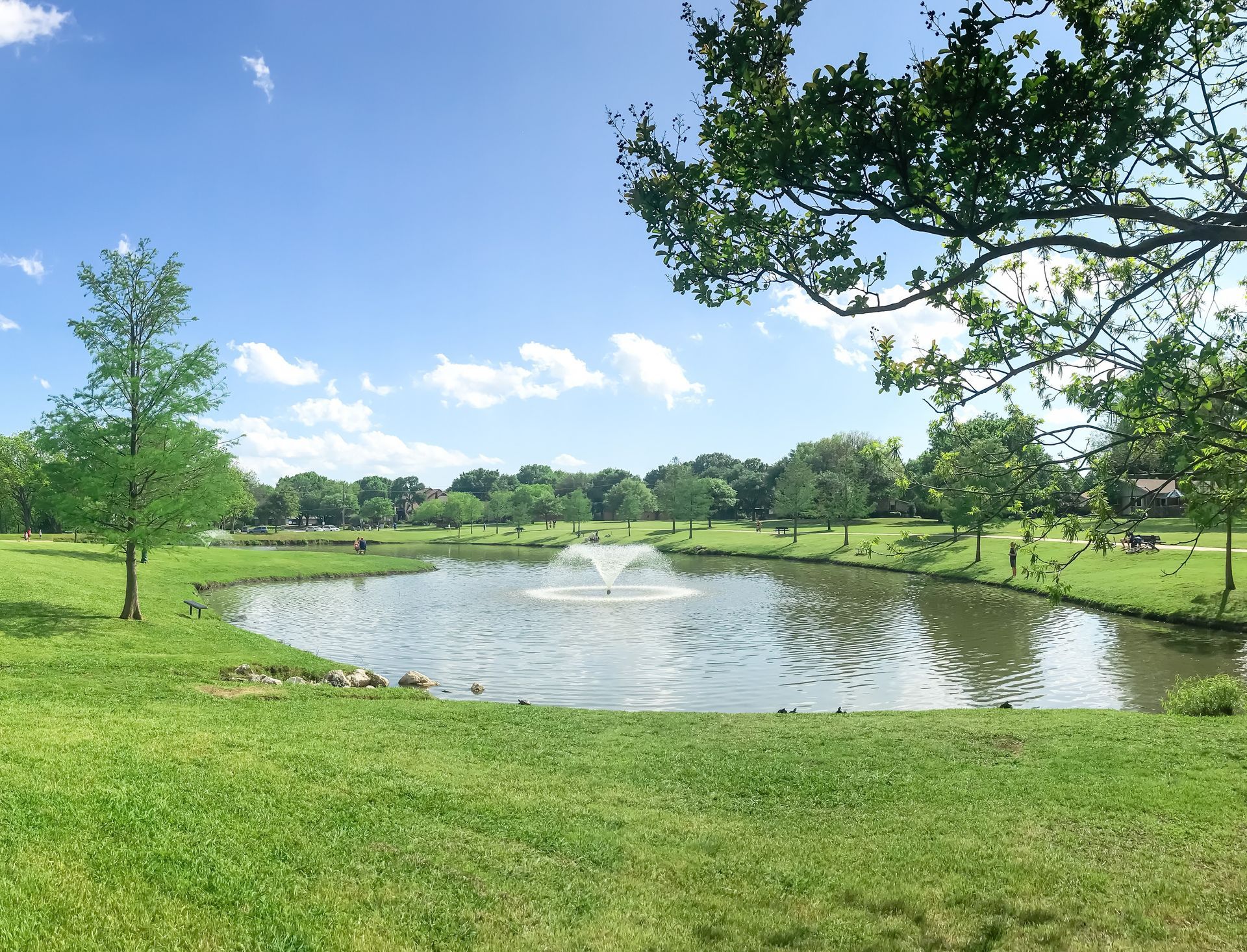 Sunny park pond with a fountain, green grass, and trees under a blue sky