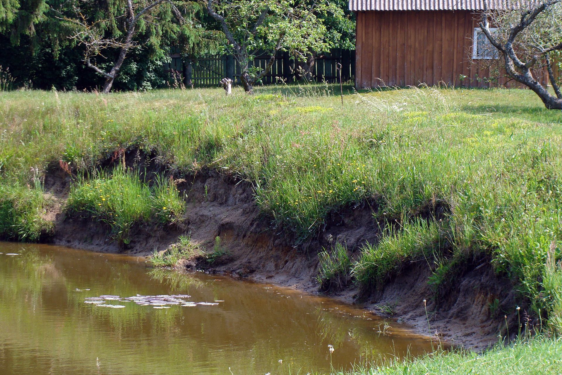A muddy riverbank with grassy slopes beside brown water and a wooden shed in the background.
