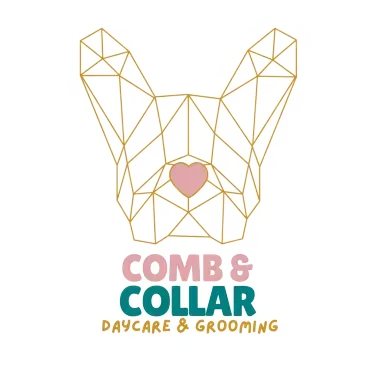 Gold geometric dog head logo with pink heart and “Comb & Collar Daycare & Grooming” text on white background