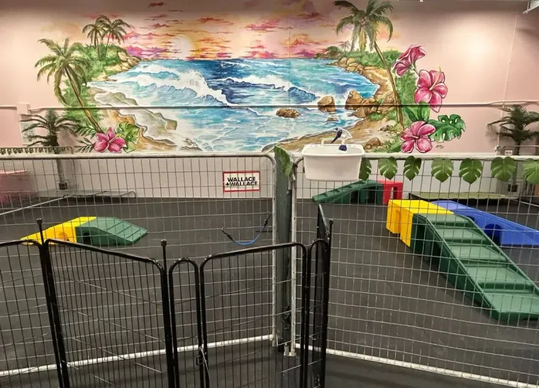 Children’s play area with black fencing, colorful benches, and a tropical mural on the wall