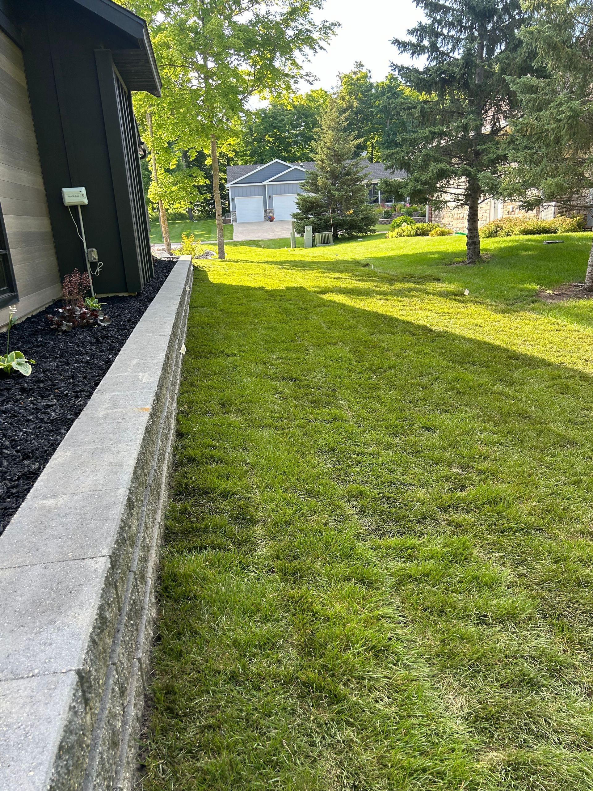 A lush green lawn next to a stone wall and a house.