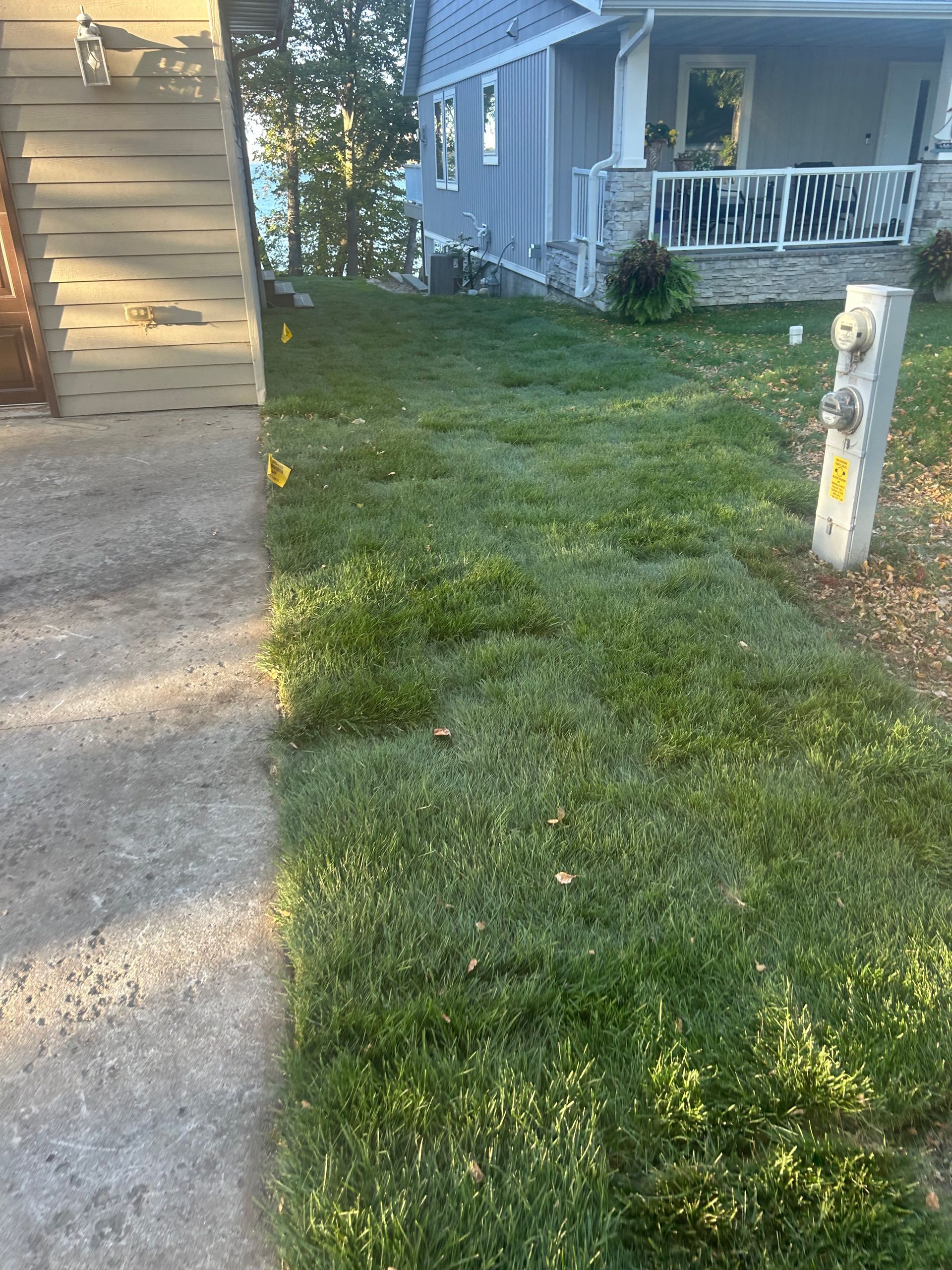 A lawn with a fire hydrant in front of a house.