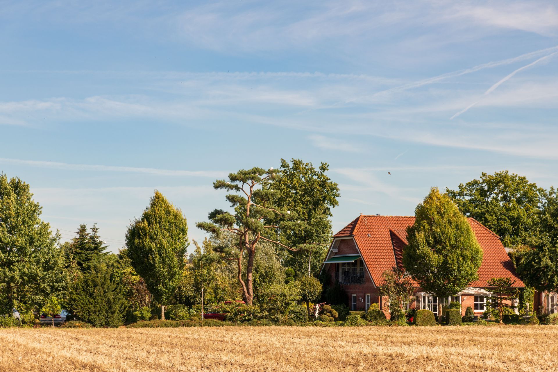 Countryside farmhouse with red roof, trees, and golden field under a blue sky