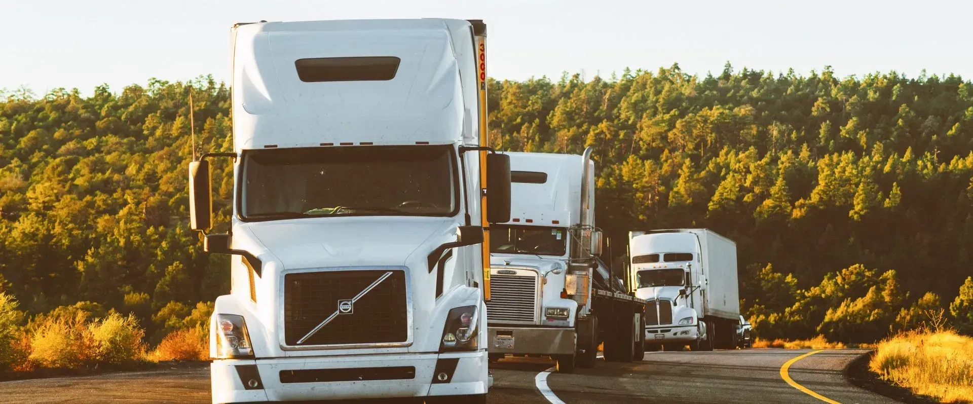 Three white semi-trucks driving on a winding road with a forest in the background.