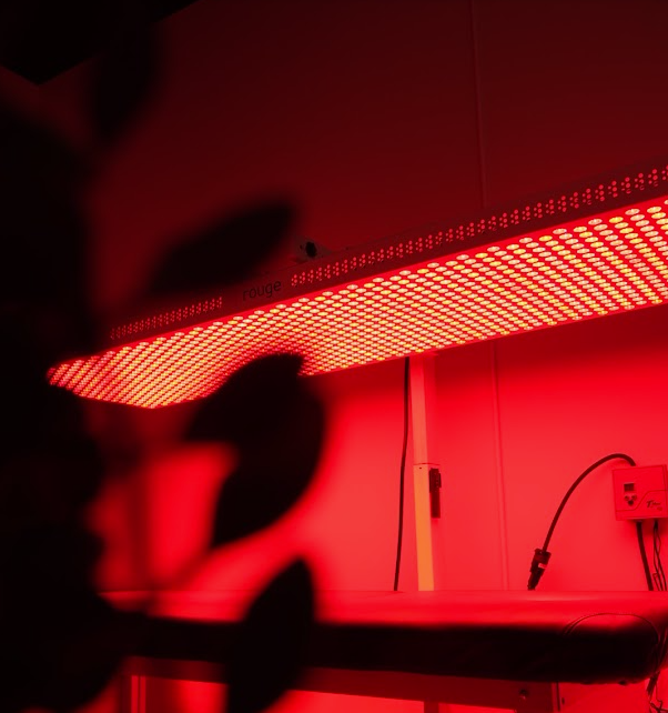 Red-lit indoor shelf with a glowing LED grow light and hanging cables, with a plant silhouette in the foreground