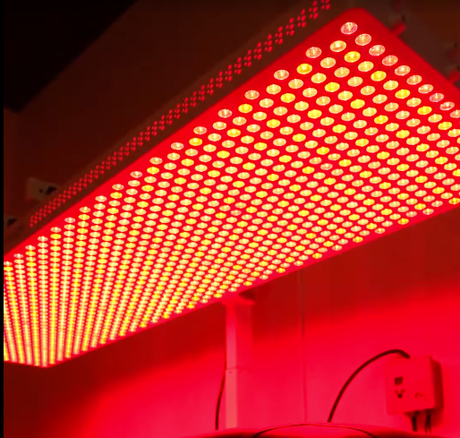Red LED grow light panel glowing over indoor plants or a workspace