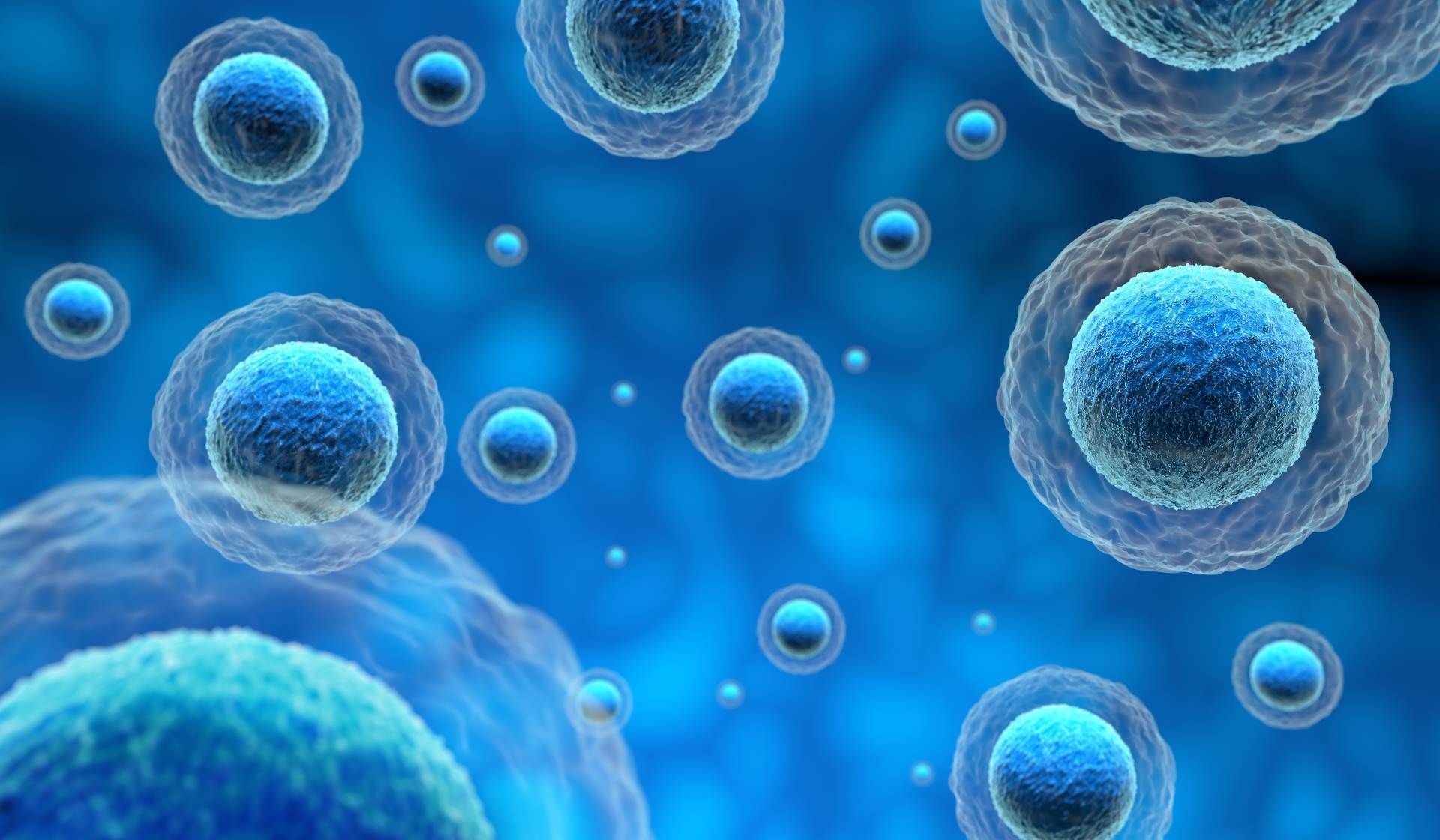 Blue spherical cells floating in a bright blue fluid background