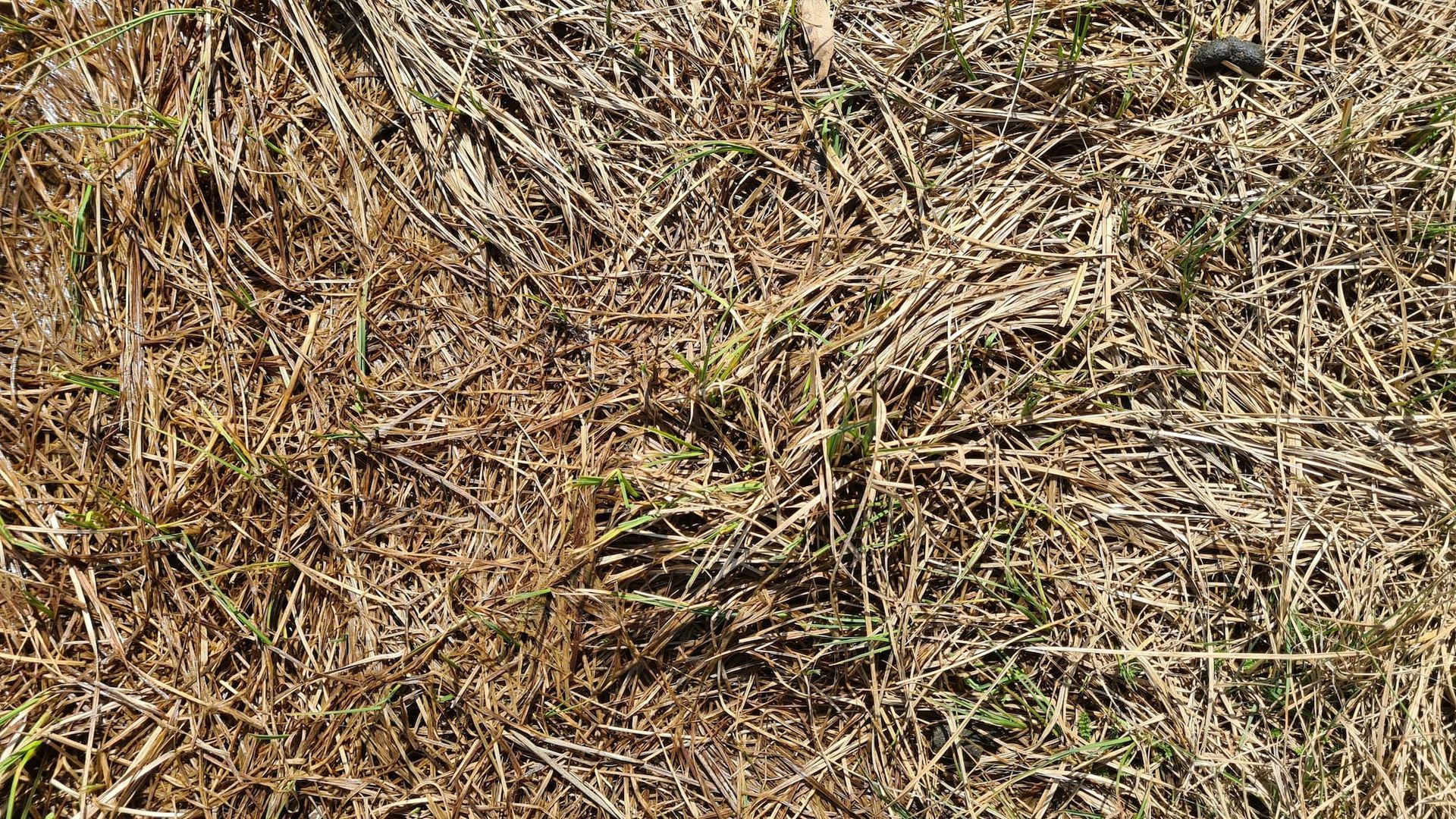 Mulching Soil