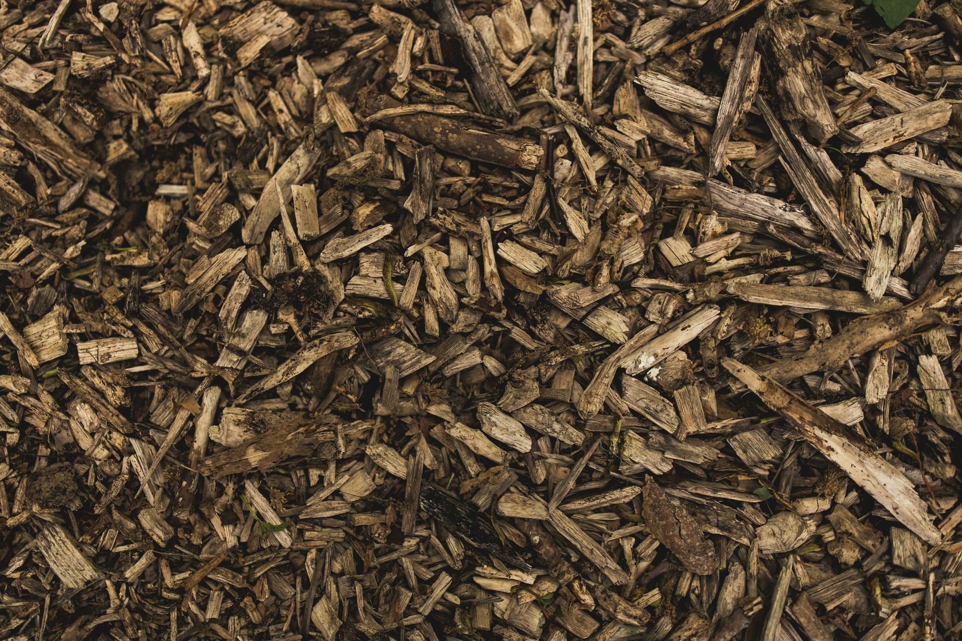 Mulching for Forest
