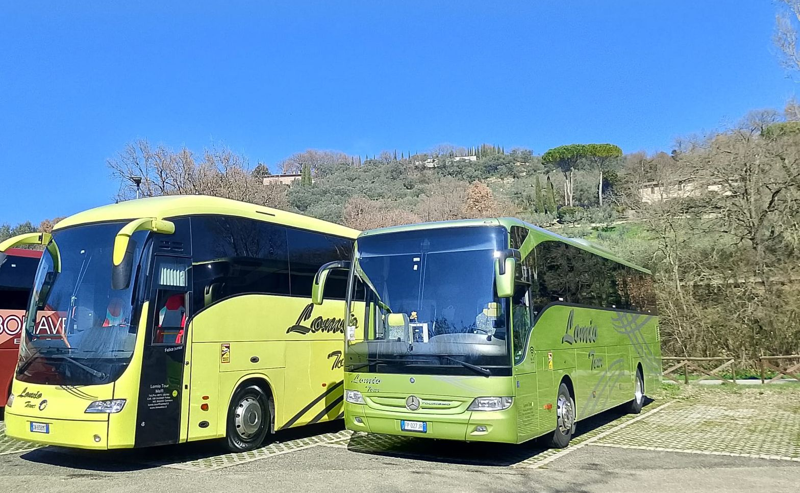 lomio tour noleggio autobus