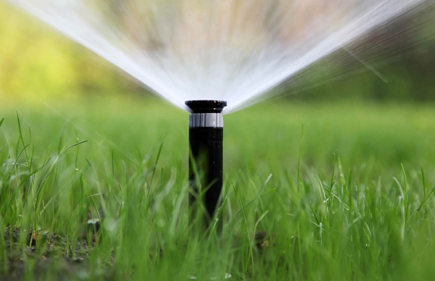 Sprinkler head spraying water over green grass in a blurred outdoor setting.
